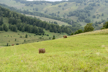 Similar image 21499359