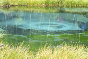 Similar image 21499375