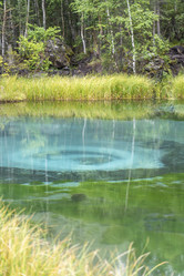 Similar image 21499377