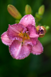 Similar image 21496701