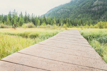 Similar image 21499380