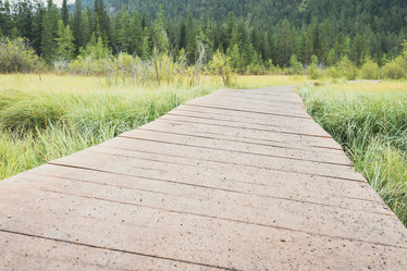 Similar image 21499381