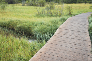 Similar image 21499382