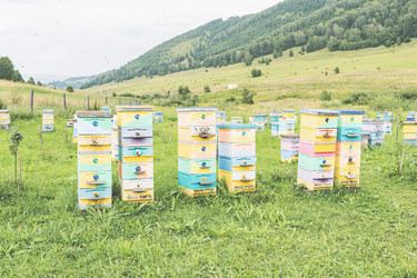 Similar image 21499391