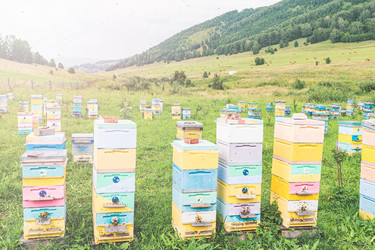 Similar image 21499394