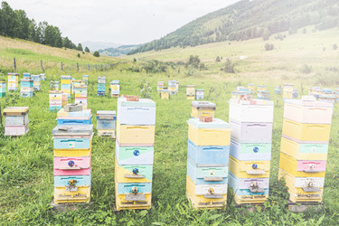 Similar image 21499396