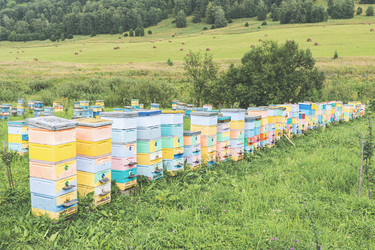 Similar image 21499397