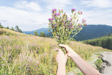 Similar image 21499400