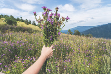 Similar image 21499408