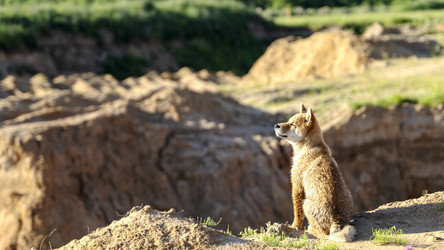 Similar image 21500119