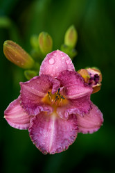 Similar image 21495547