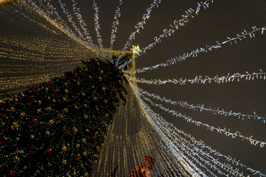 Similar image 21499410