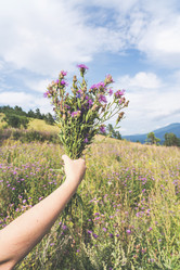 Similar image 21499411