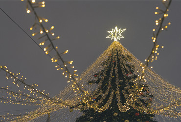 Similar image 21499412