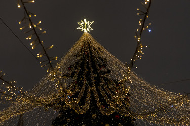 Similar image 21499421