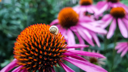 Similar image 21496798