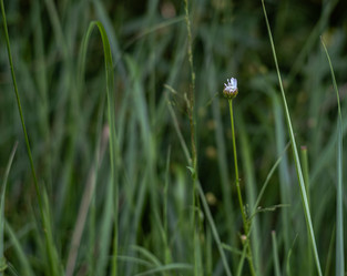 Similar image 21495553