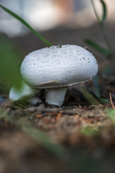 Similar image 21496995