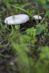 Similar image 21496996