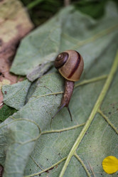 Similar image 21501934