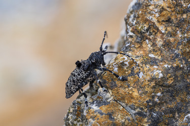 Similar image 21497372