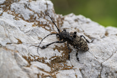 Similar image 21497373