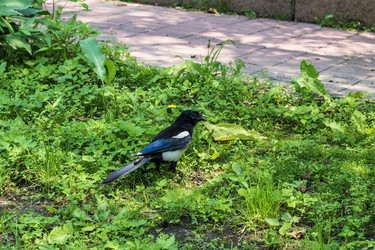 Similar image 21497675