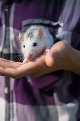 Similar image 21497156