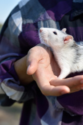 Similar image 21497157