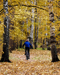 Similar image 21496702