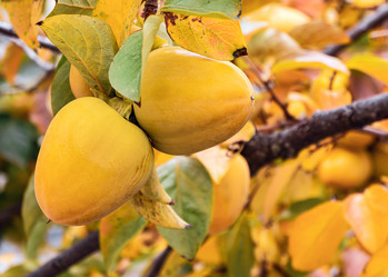 Similar image 21496706