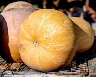 Similar image 21496712