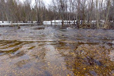 Similar image 21496713