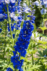 Similar image 21500482