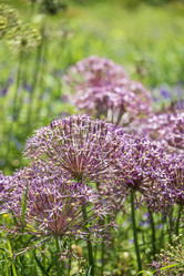 Similar image 21497374