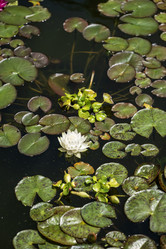 Similar image 21497375