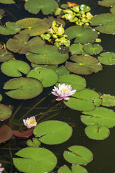 Similar image 21497376