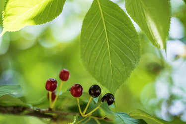 Similar image 21497676