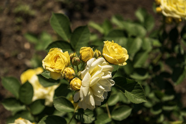 Similar image 21497677