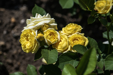 Similar image 21497678