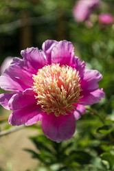 Similar image 21497679