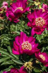 Similar image 21497680