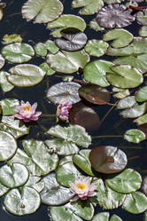 Similar image 21497378