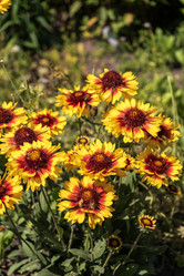 Similar image 21497682