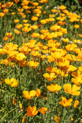 Similar image 21497683