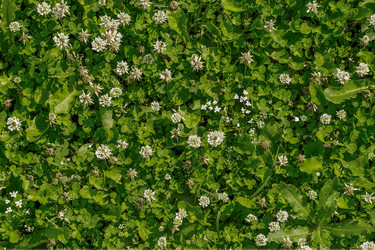 Similar image 21496716