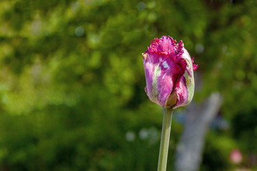 Similar image 21496721