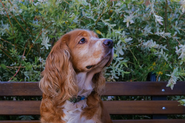 Similar image 21497013