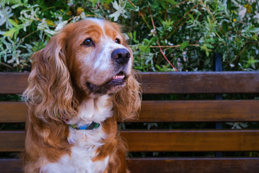 Similar image 21497014