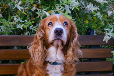 Similar image 21497015